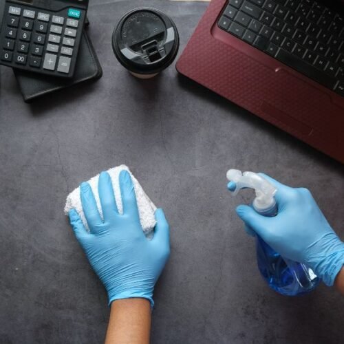 House cleaning services