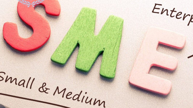 Financing Options for Small and Medium Enterprises in Nigeria