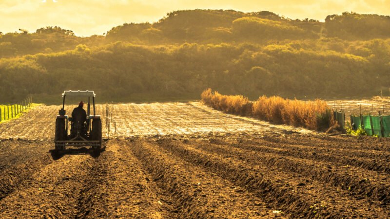 Legal Considerations for Agricultural Investments in Nigeria