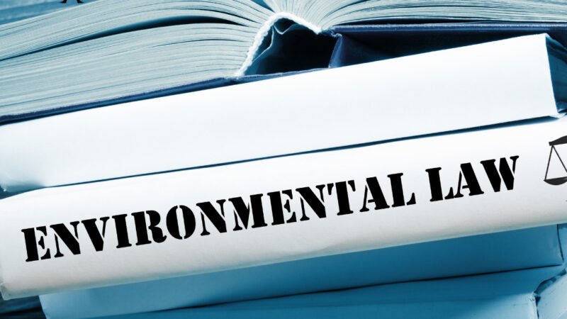 Environmental Lawsuits in Nigeria