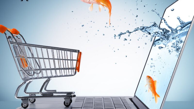 HOW TO NAVIGATE E-COMMERCE LEGALLY