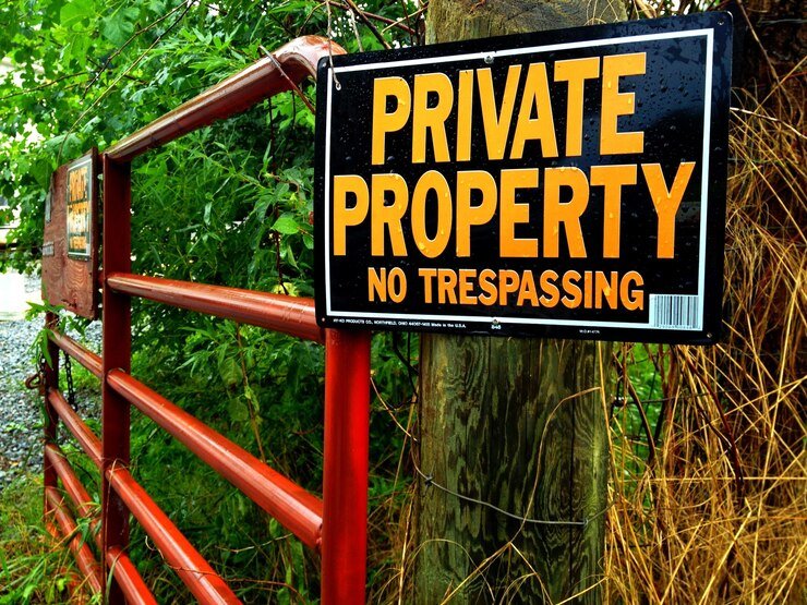 The Legal Guide to Buying Land in Nigeria: Avoiding Land Scams