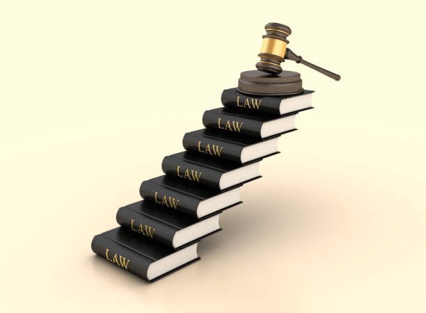 Doctrine of Locus Standi in Constitutional Rights Cases