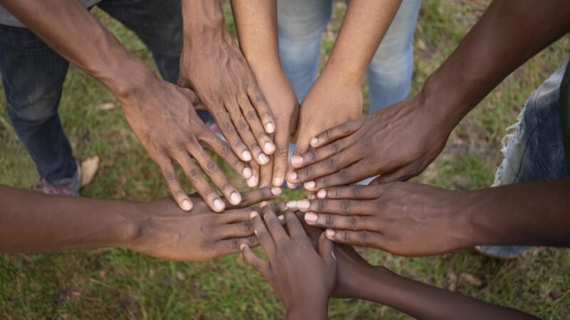 The Constitution and Indigenous Peoples’ Rights in Nigeria