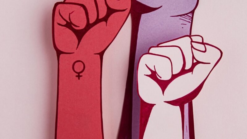 The National Human Rights Commission and Constitutional Enforcement