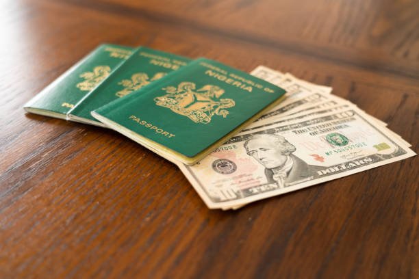 Dual Citizenship and Constitutional Rights in Nigeria