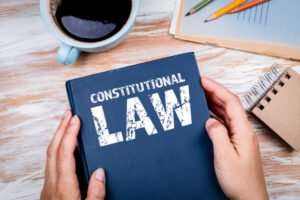 How to Challenge Unlawful Government Policy Using the Constitution
