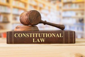 The Legal Doctrine of Ultra Vires in Constitutional Litigation